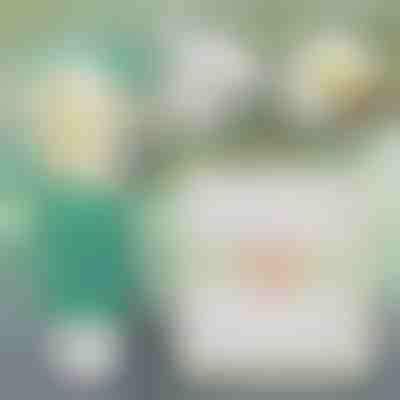 Soluție instantanee pentru repararea pereților | WALLFIX