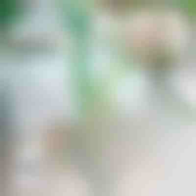 Suport pentru plante (20 buc) | ROOTZI