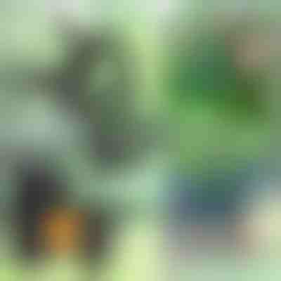 Cleme pentru plante (14 bucăți) | PLANTPIN