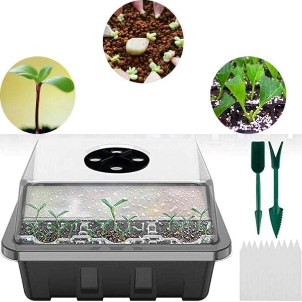 PLANTURKA14800__d043957d