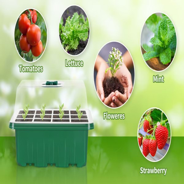 PLANTURKA14900__5850540e