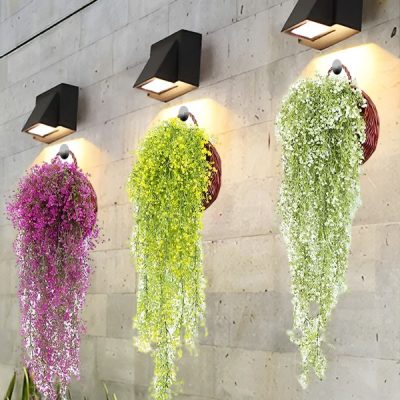Plantă decorativă suspendată | IVYORA