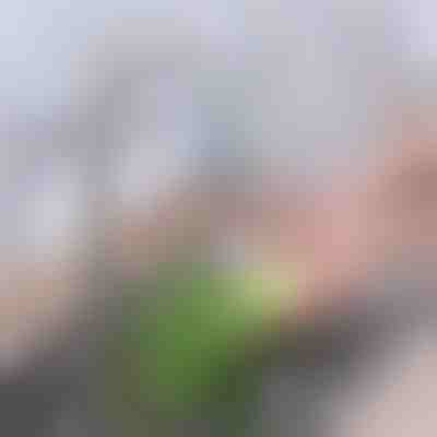 Filtru avansat cu carbon pentru robinet | CHARFILTER