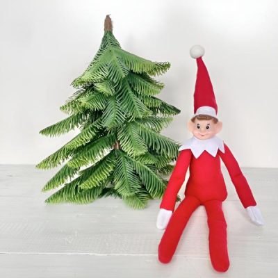 Spiriduș de Crăciun | REDELF