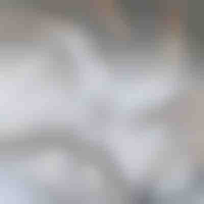 Lamă de înlocuire pentru GRIDZ