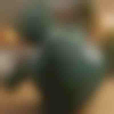 Aparat Shiatsu pentru masaj, cu funcție de încălzire | MASSORA